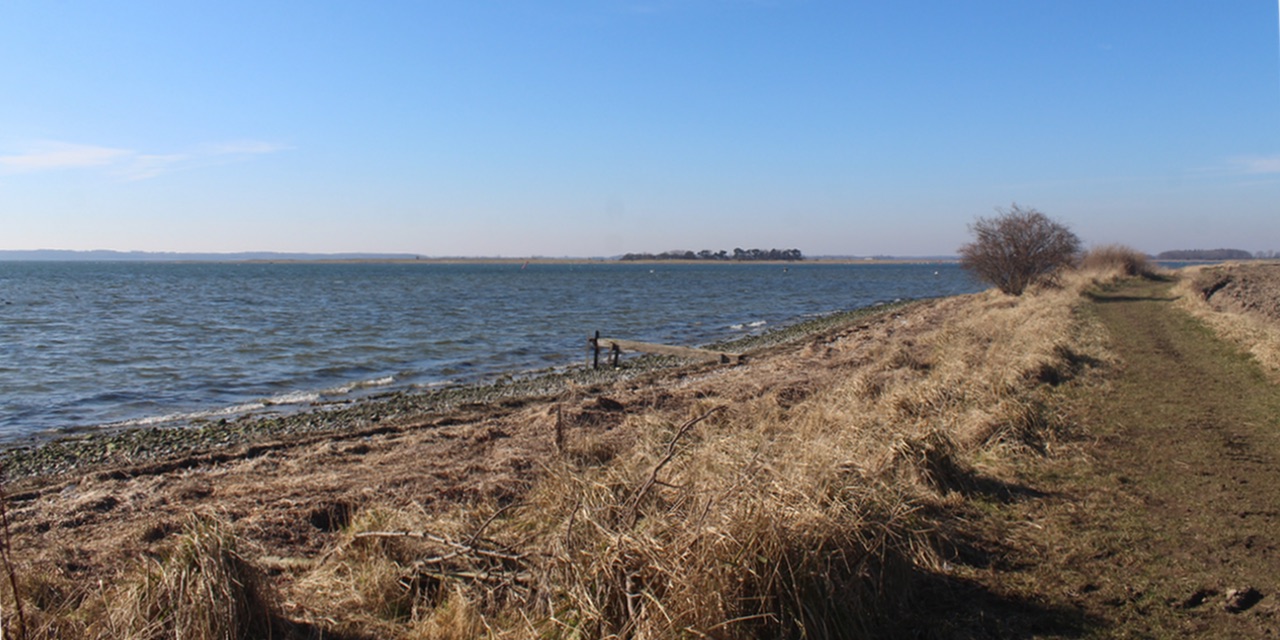 Sti gennem naturen ved Hasselø
