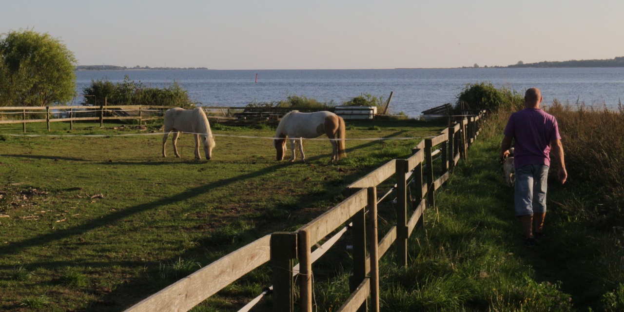 Guldborgsund tæt ved Hasselø