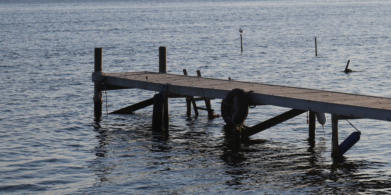 Naturen omkring Hasselø på Falster