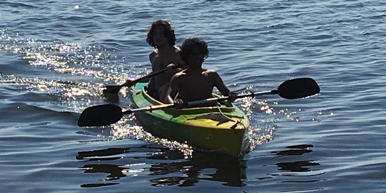 Fugleliv og vand ved Guldborgsund